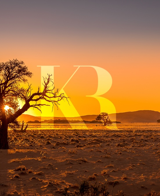Savanna