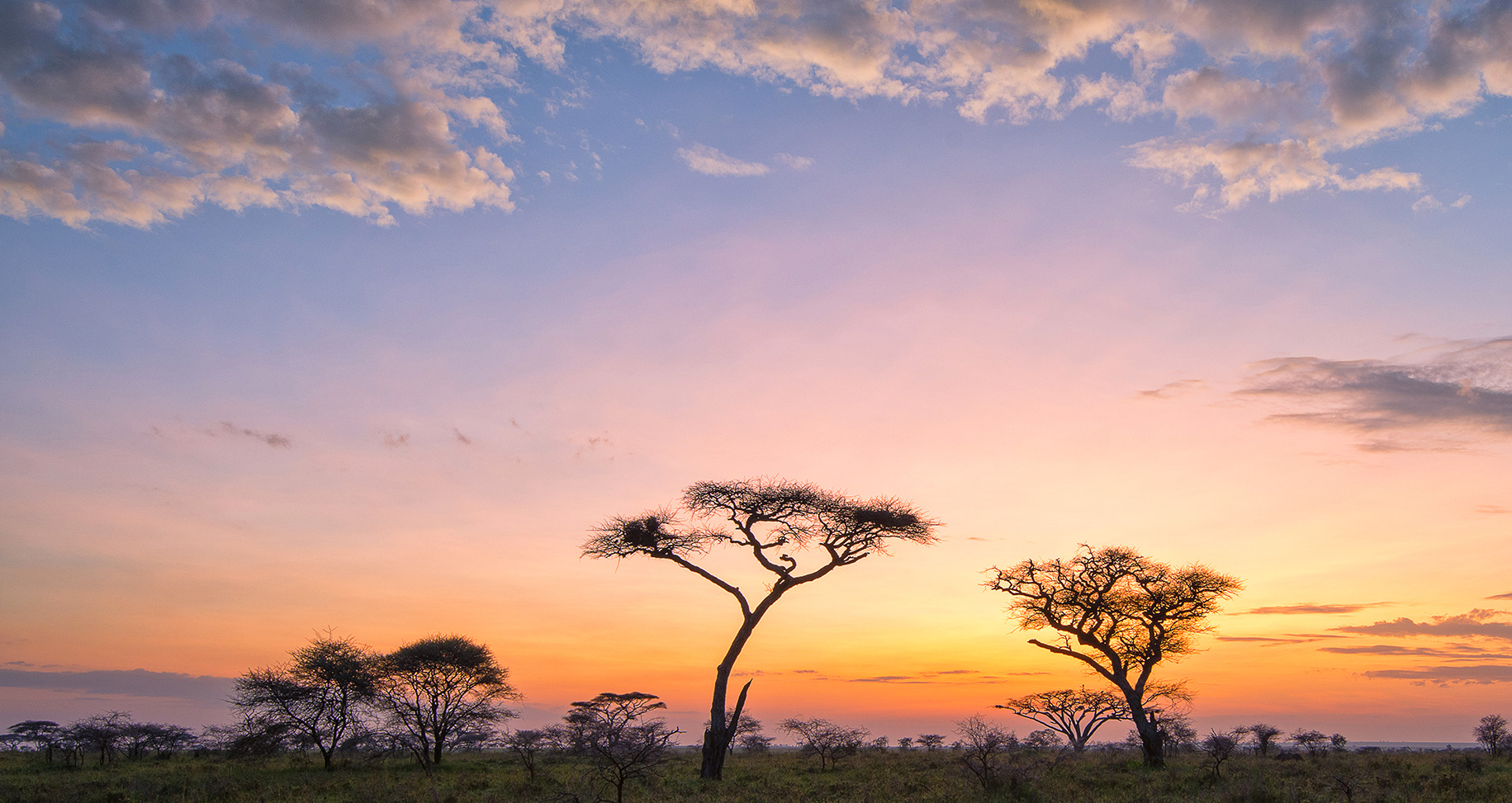Africa Landscape
